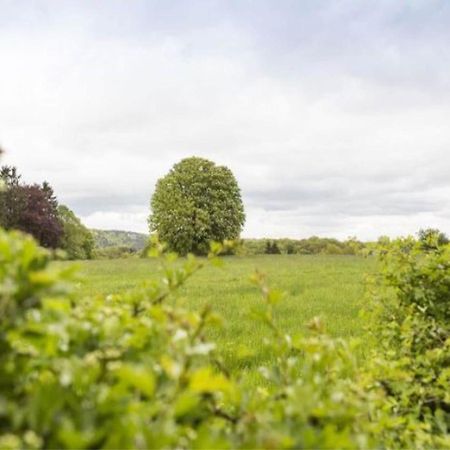Fabulous Mansion In Spa Liege With Private Garden Exteriör bild